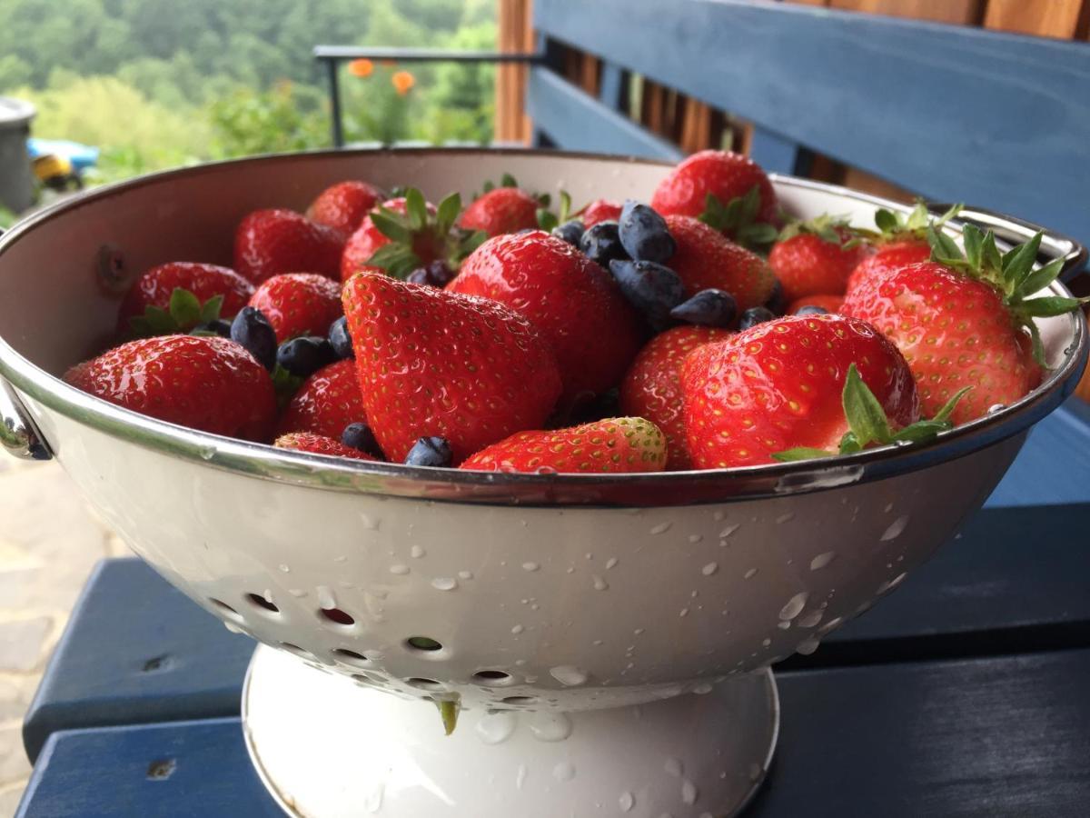 Rose Hip Hill Farm Bed and Breakfast Valea Tirnei Buitenkant foto