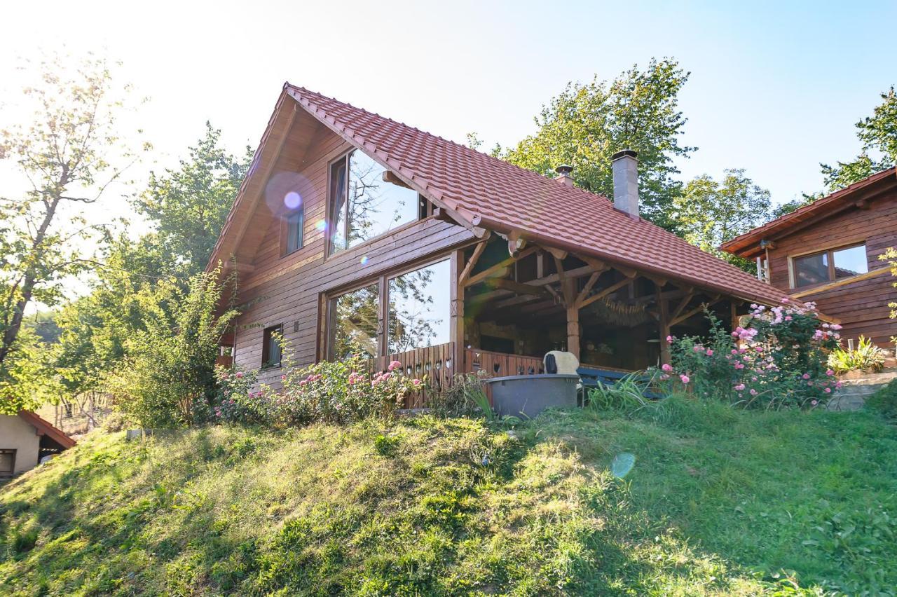 Rose Hip Hill Farm Bed and Breakfast Valea Tirnei Buitenkant foto