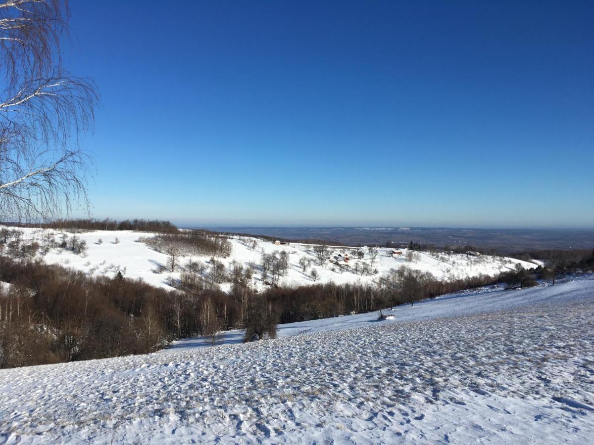 Rose Hip Hill Farm Bed and Breakfast Valea Tirnei Buitenkant foto