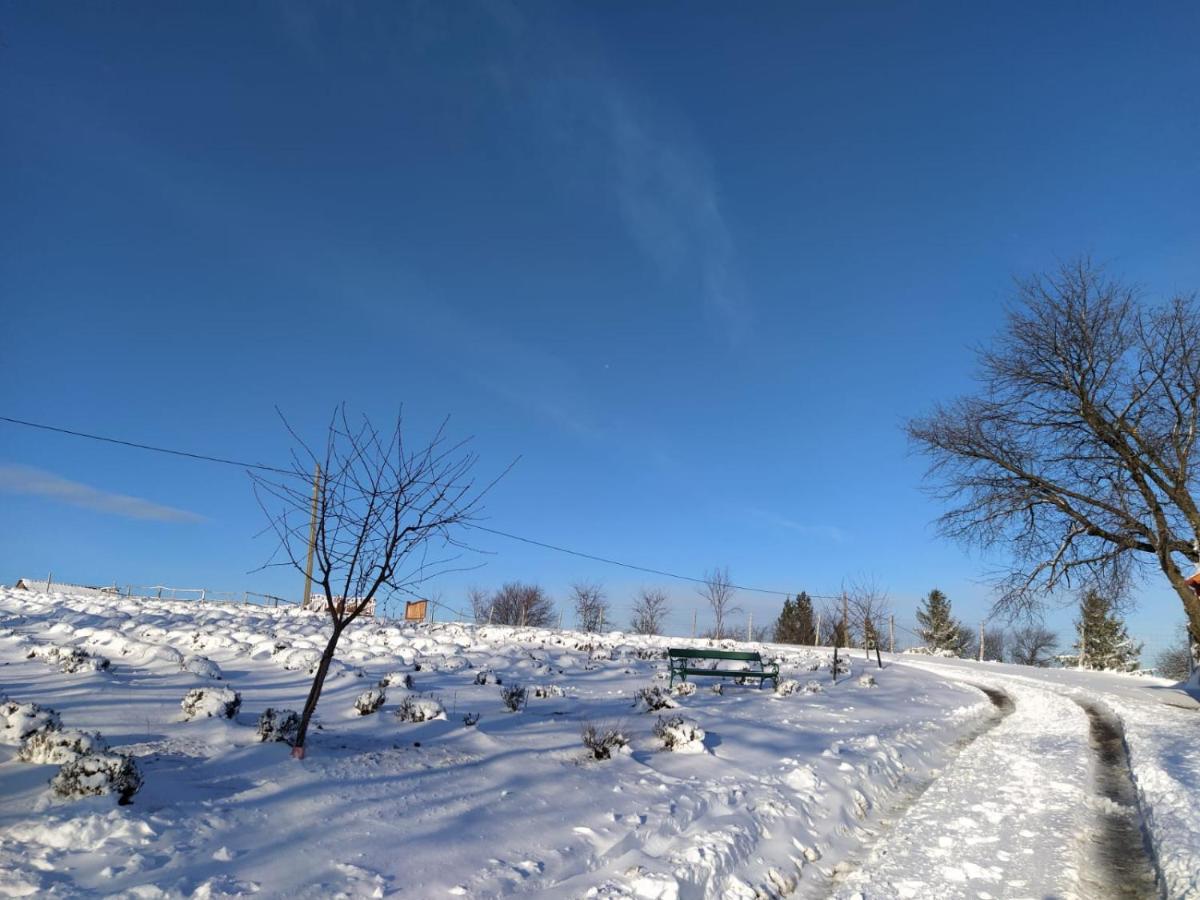 Rose Hip Hill Farm Bed and Breakfast Valea Tirnei Buitenkant foto