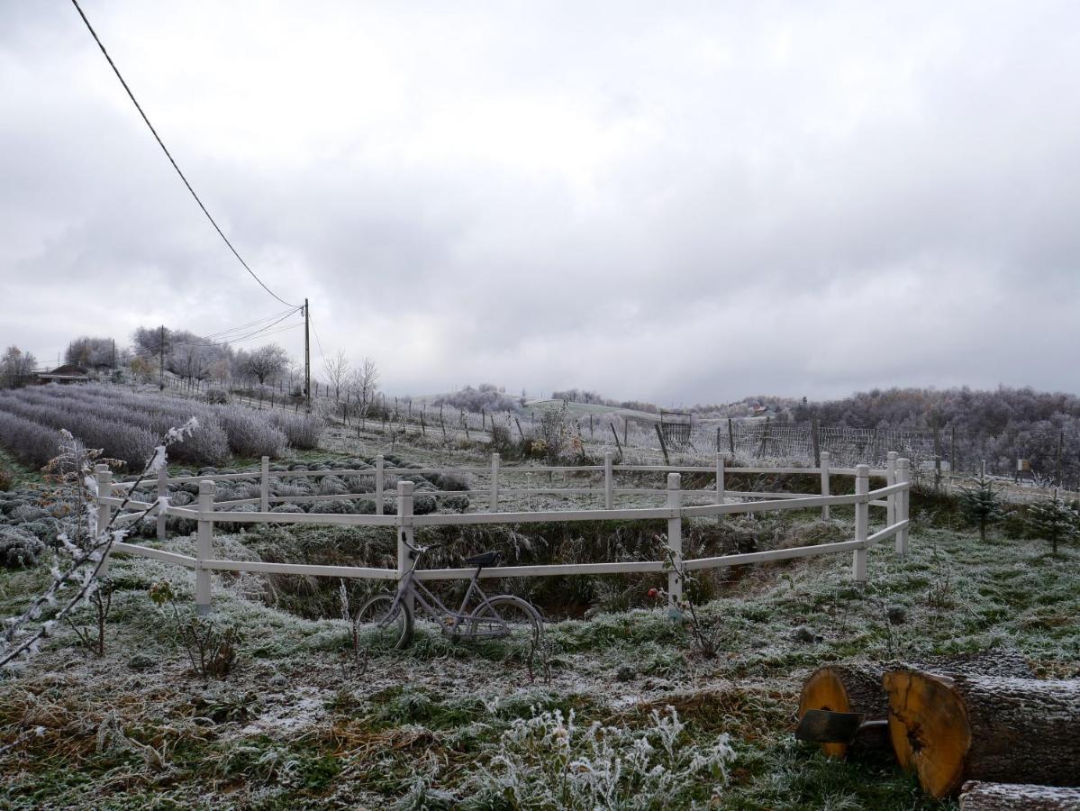 Rose Hip Hill Farm Bed and Breakfast Valea Tirnei Buitenkant foto