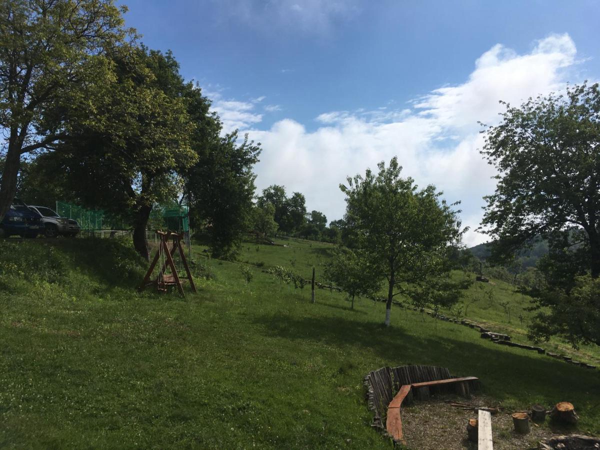 Rose Hip Hill Farm Bed and Breakfast Valea Tirnei Buitenkant foto
