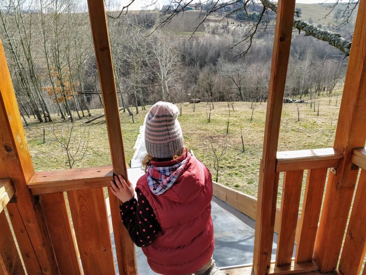 Rose Hip Hill Farm Bed and Breakfast Valea Tirnei Buitenkant foto