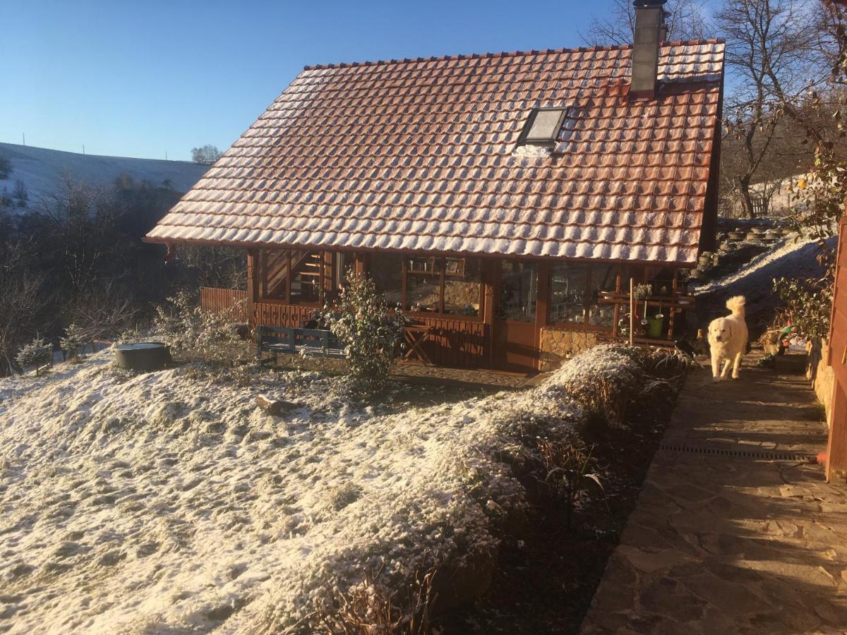 Rose Hip Hill Farm Bed and Breakfast Valea Tirnei Buitenkant foto